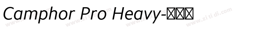 Camphor Pro Heavy字体转换